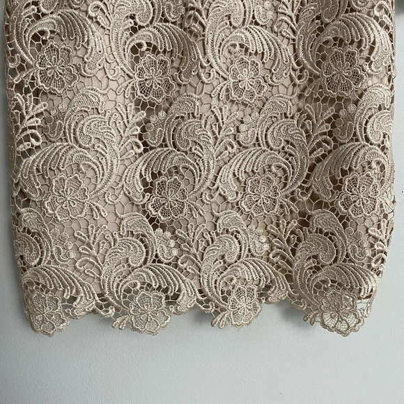 WHITE House Black  Market Champagne Lace 3/4 Sleeve Scoop Neck Dress Size 10 - Picture 6 of 8